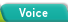 Voice