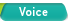 Voice