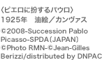 qsGɕpEr1925N@G^J@X@(C)2008-Succession Pablo Picasso-SPDAkJAPANl (C)Photo RMN-(C)Jean-Gilles
Berizzi/distributed by DNPAC