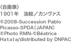 q摜r1901N@G^J@X@(C)2008-Succession Pablo Picasso-SPDAkJAPANl (C)Photo RMN-(C)Beatrice
Haaa/distributed by DNPAC