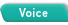 Voice