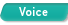 Voice