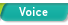 Voice